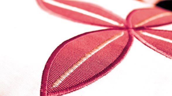 Embroidery Intro software